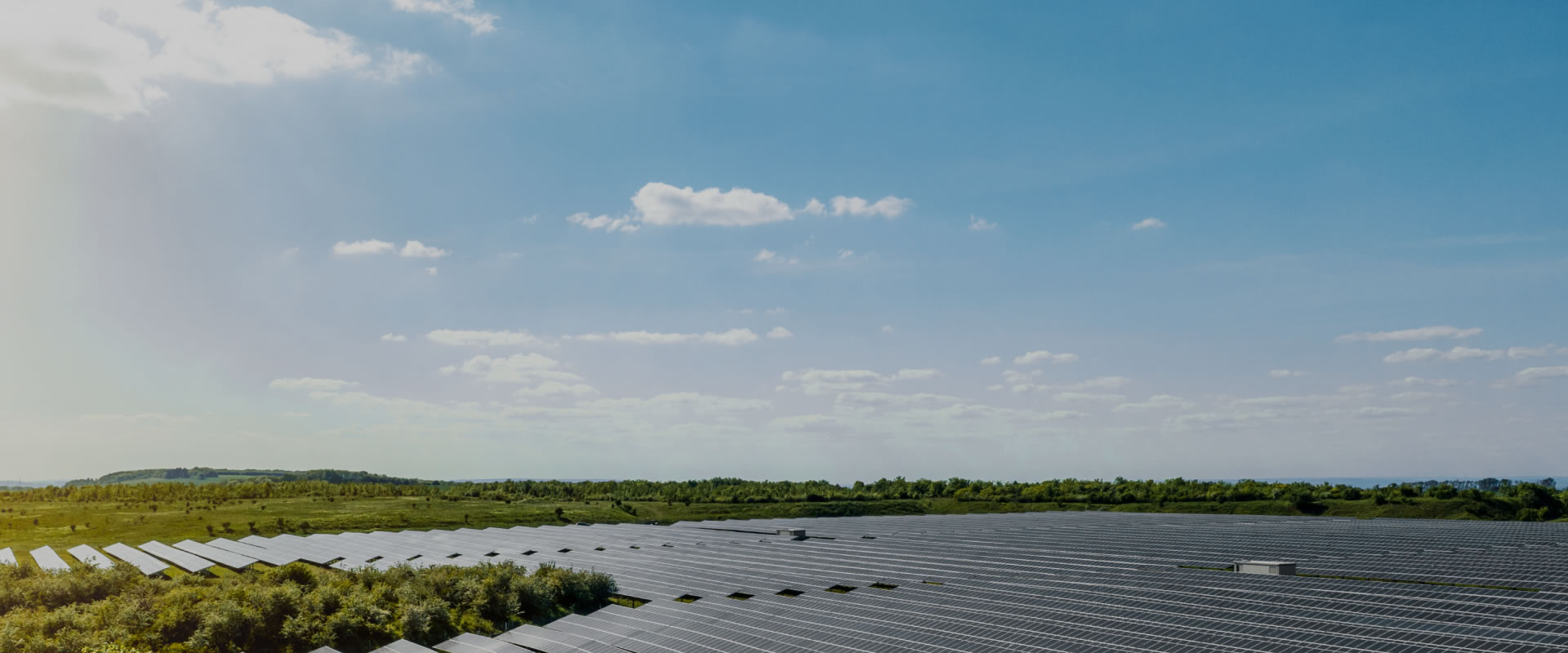 全方位支持  高收益回报