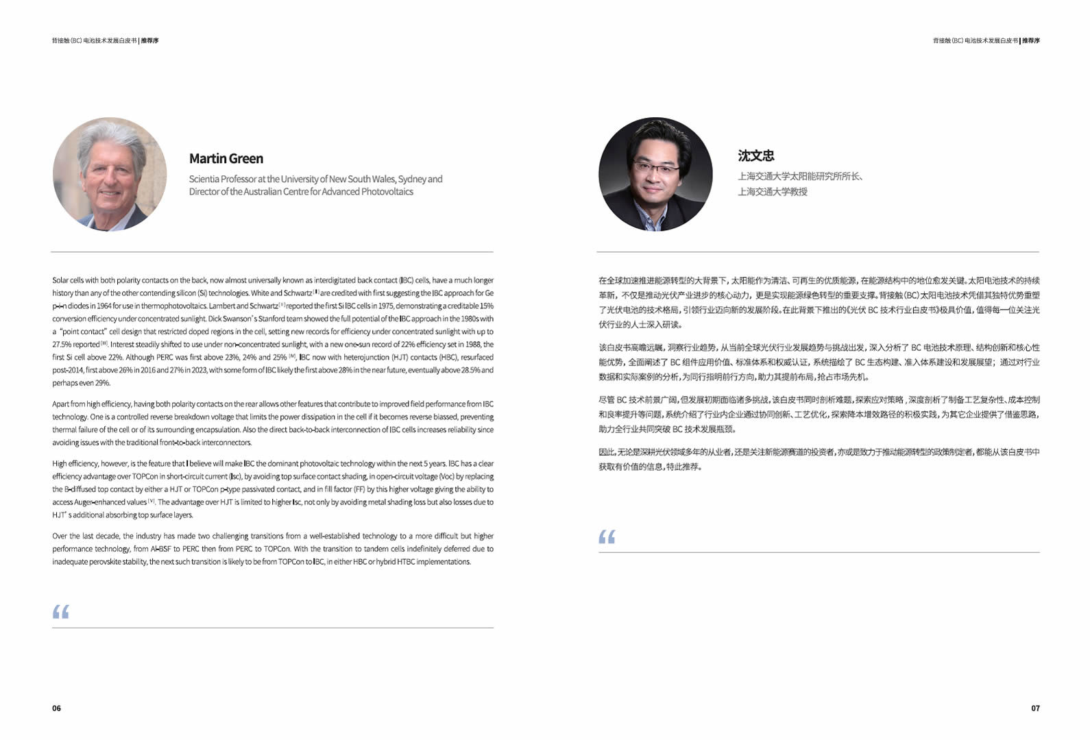 背接触（BC）电池手艺生长白皮书