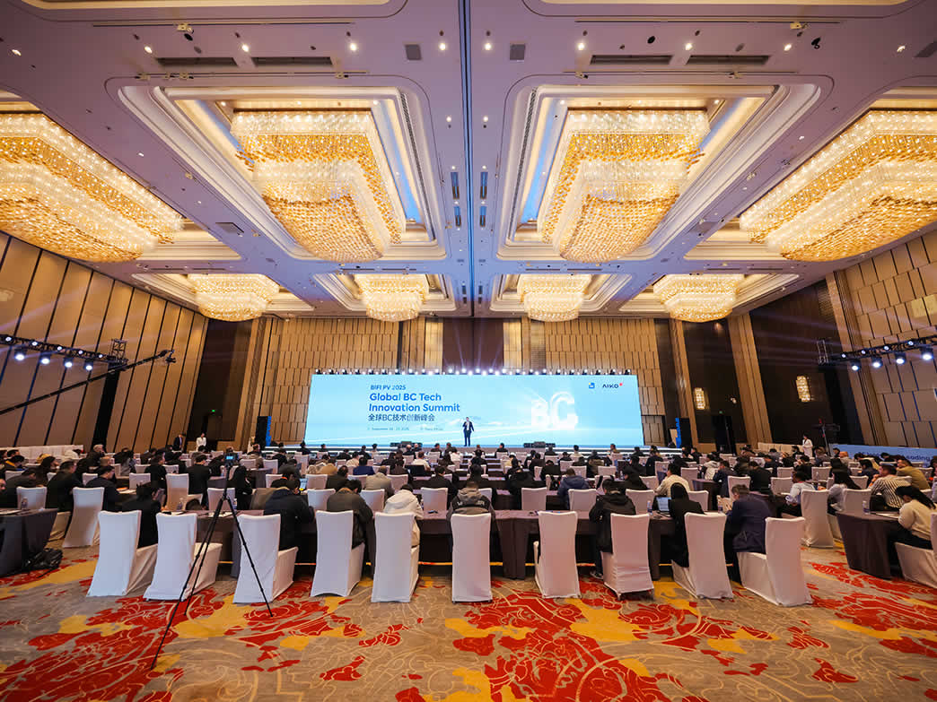 BC引领光伏价值新时代，，，，，，全球BC手艺立异峰会乐成举行